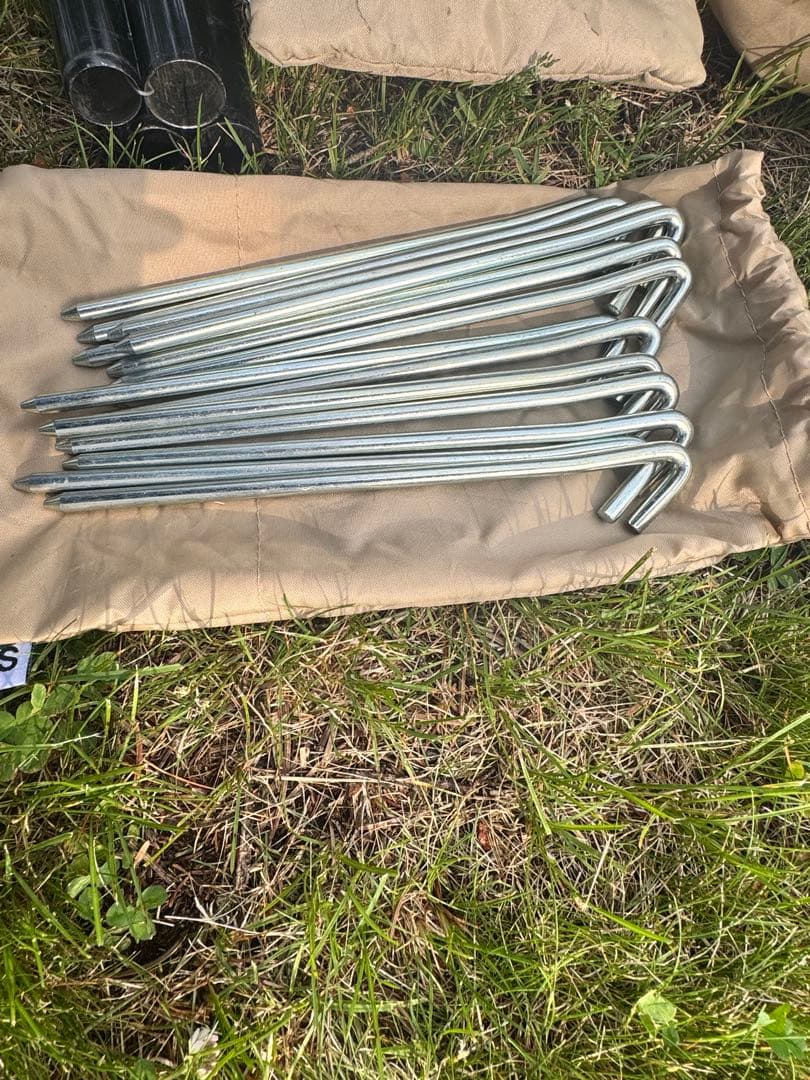 【最終価格】サバティカル モーニンググローリー TC