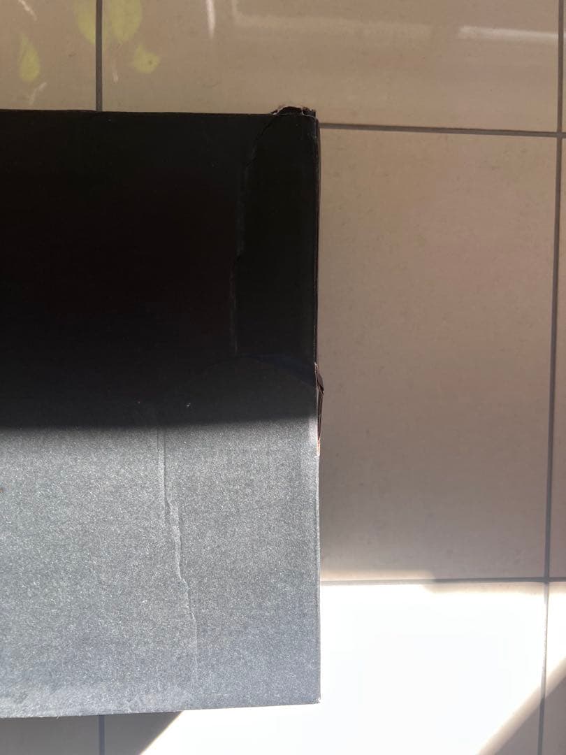 シューズ(男性用) NIKE JORDAN MARS 270 PSG 27.0cm