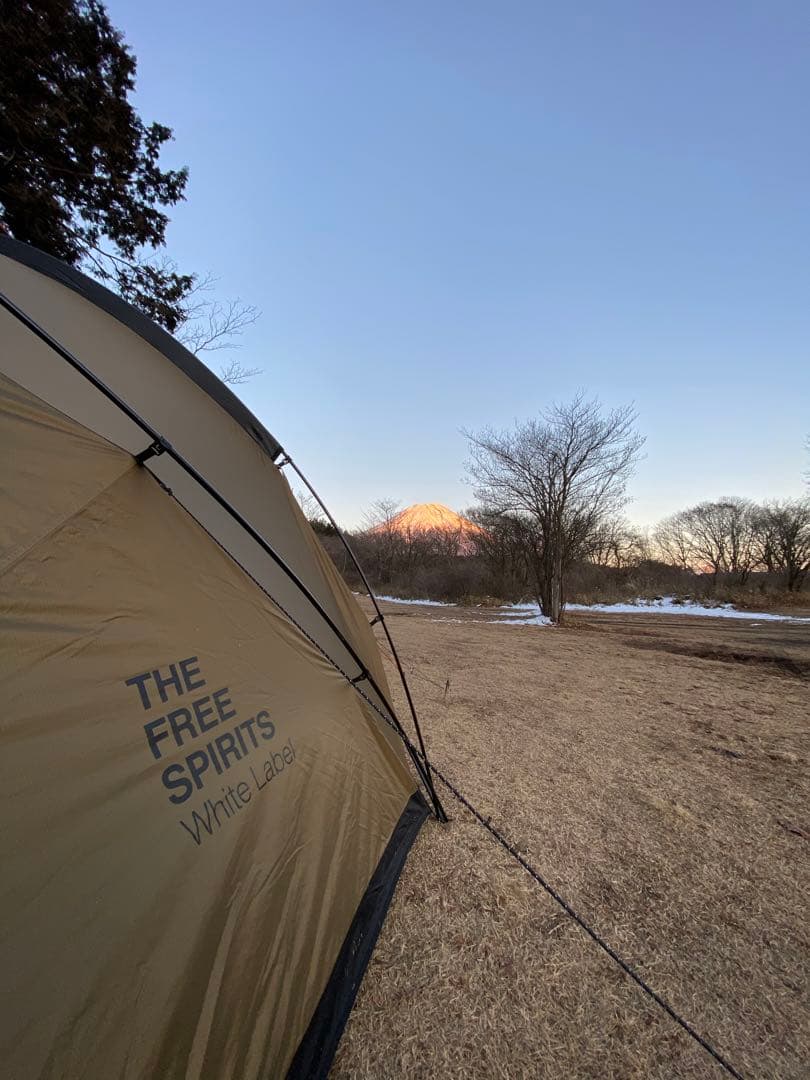 激レア】／TFS SkyDome シルバーコーティング ブラウン