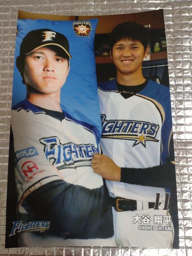 大谷翔平 2015 ハイライトフォト No.158 日本ハム 球団公式写真