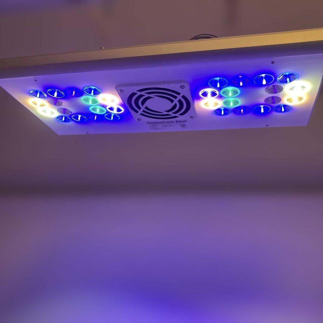 ボルクスジャパン　グラッシーコアリーフ