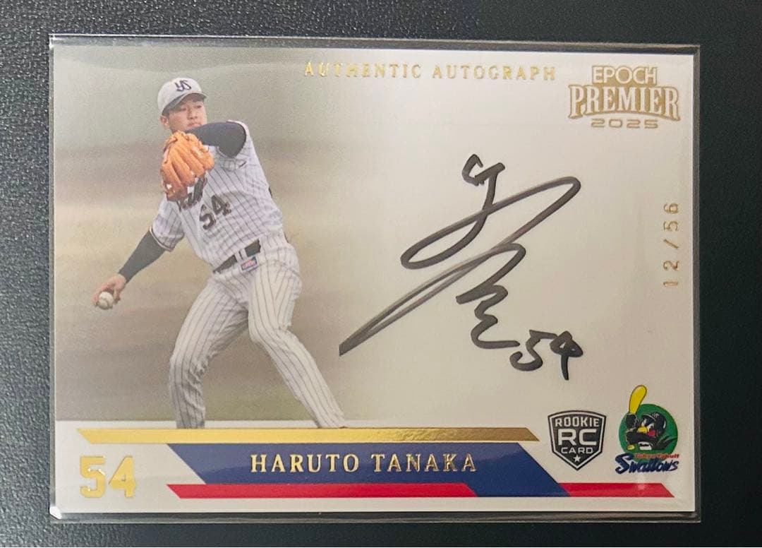 田中陽翔 epoch 東京ヤクルトスワローズ 直筆サインカード ルーキー