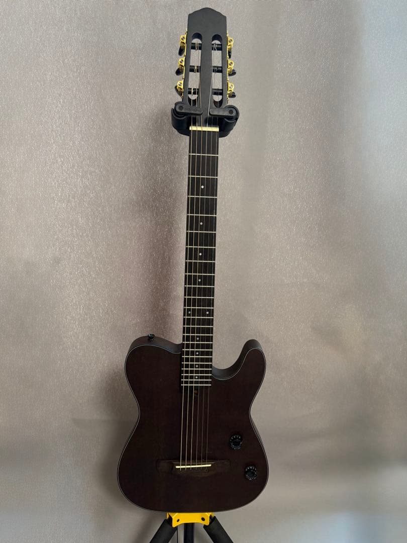 Nylon Electric Guitar サイレントソリッドエレガット