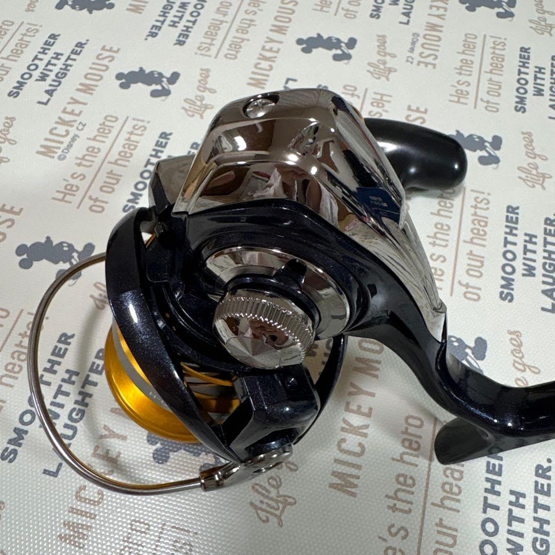 ダイワ 20レブロス LT6000D-H