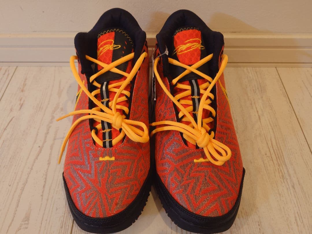 NIKE LBJ NXXT GENISUS EP 26cm＆エコバッグSサイズ