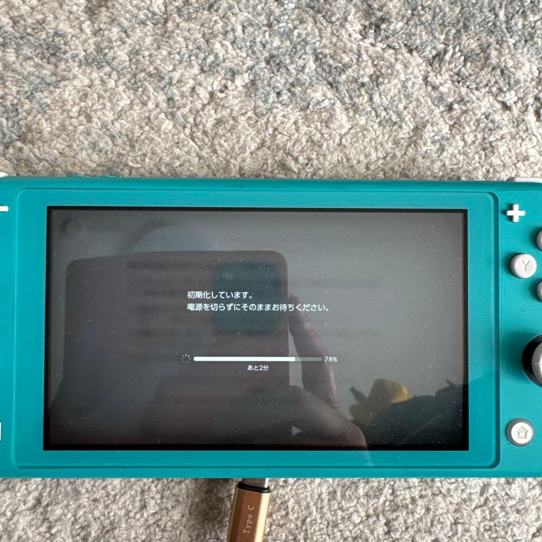 Nintendo Switch Lite ターコイズ　充電器なし