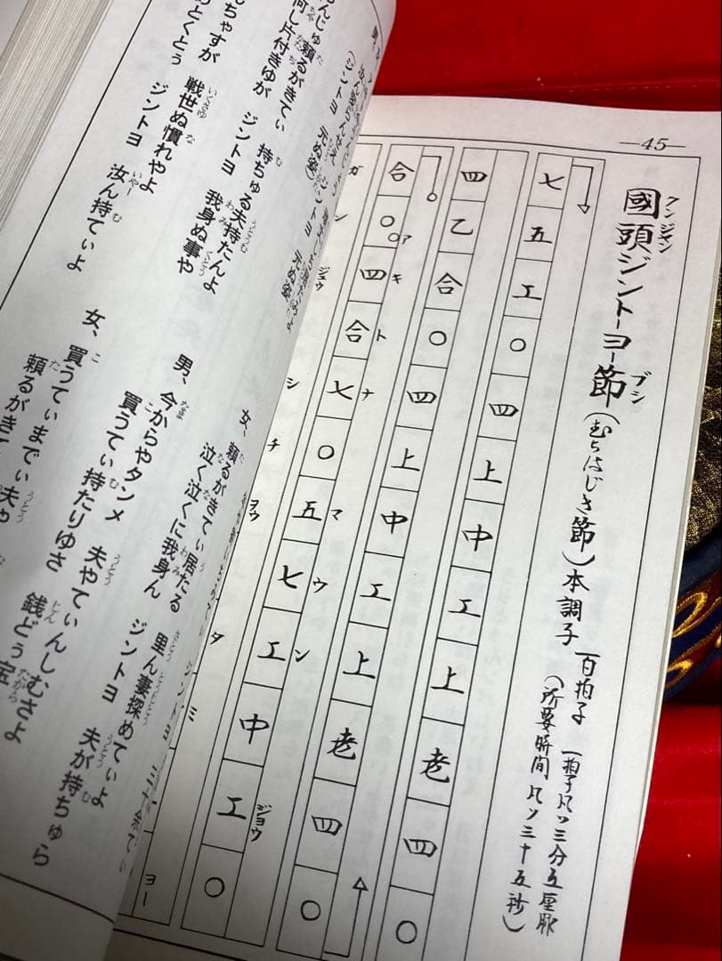 三味線 沖縄 楽譜付 合皮 クロコダイルケース付 楽器 ケース