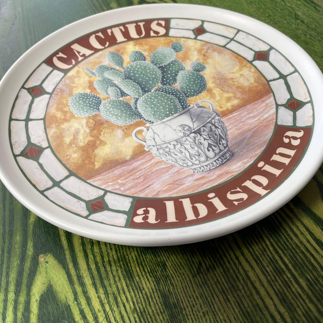 壁掛け陶器プレート Cactus albispina