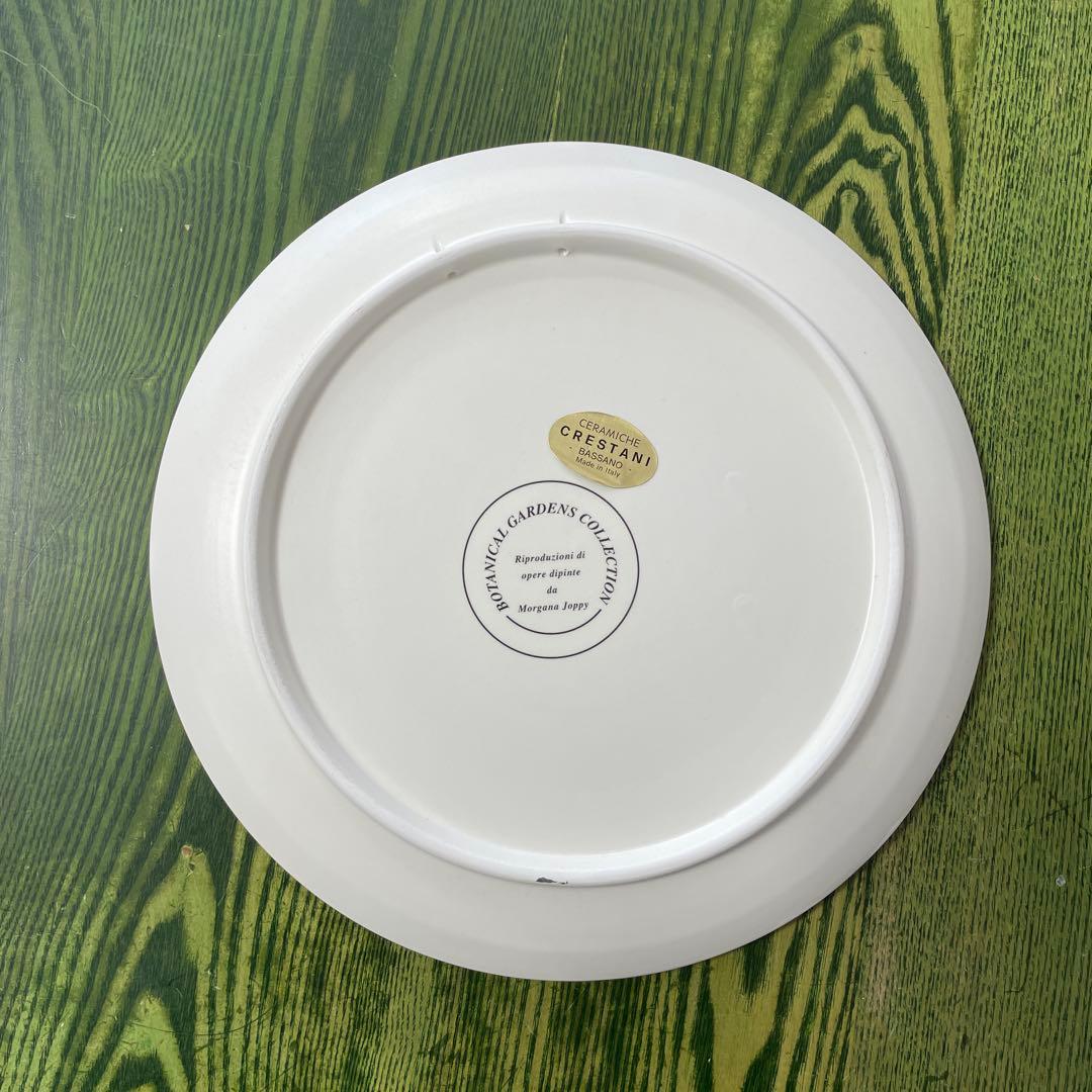 壁掛け陶器プレート Cactus albispina