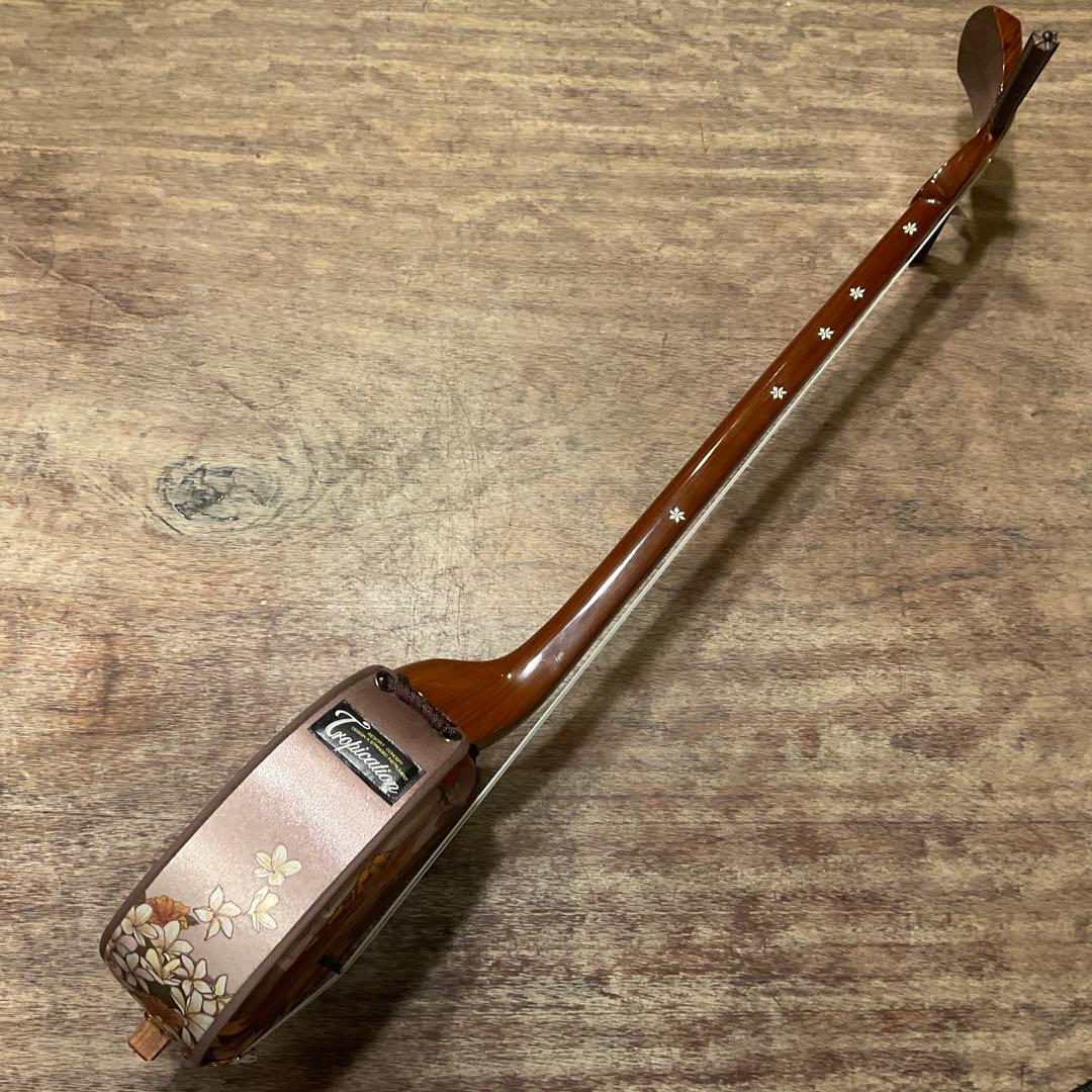 三線 さんしん 沖縄(琉舞)×フラダンサー (ハワイ) コラボデザイン ハナ