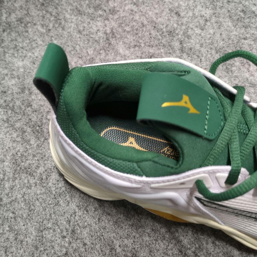 限定カラー　ウェーブモーメンタム3 25.0cm