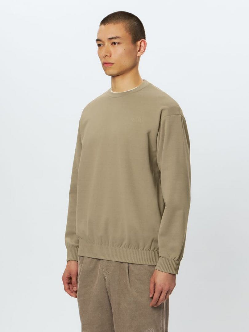 【Tomoaki Miyazaki】ノースフェイス　ラリーオンロッククルー