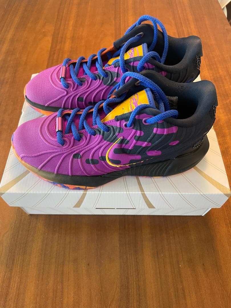 レブロン 21 SE　22cm