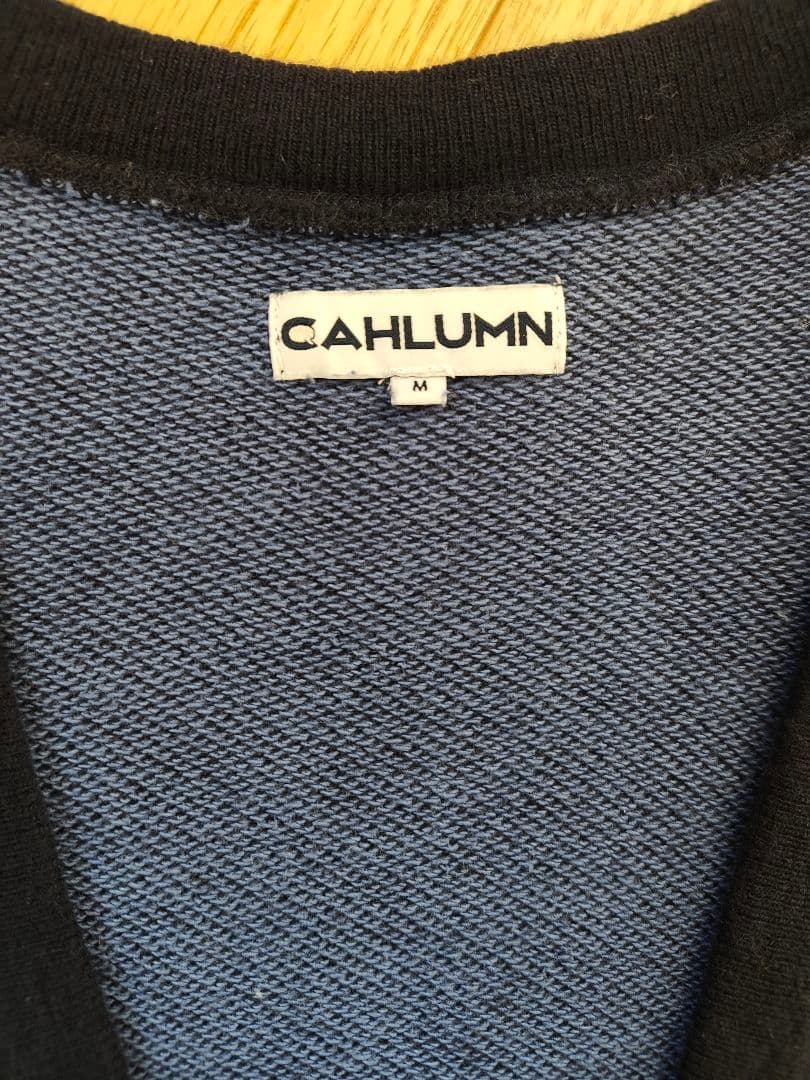 CAHLUMN メリノウールコットンループバック Vネック スウェットシャツ