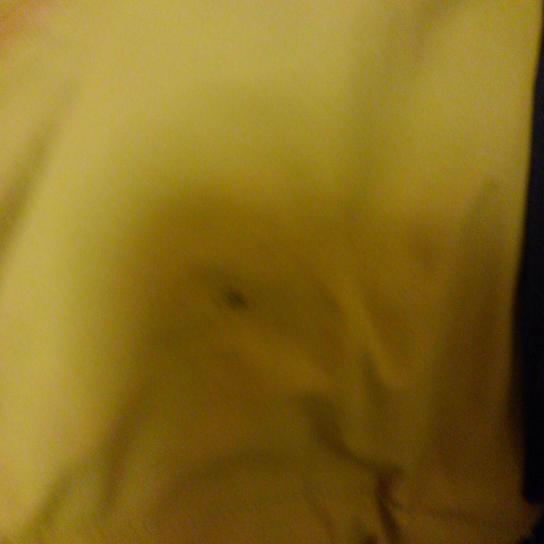 REW 21-22 カミカゼジャケット&ビブパンツ　Mサイズ　セット