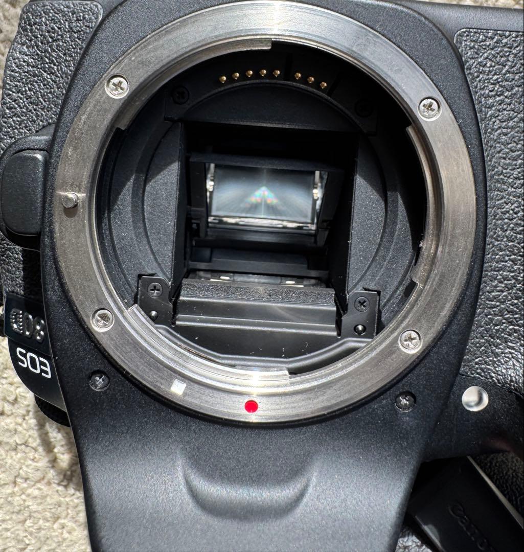 Canon EOS 80D デジタル一眼レフカメラ