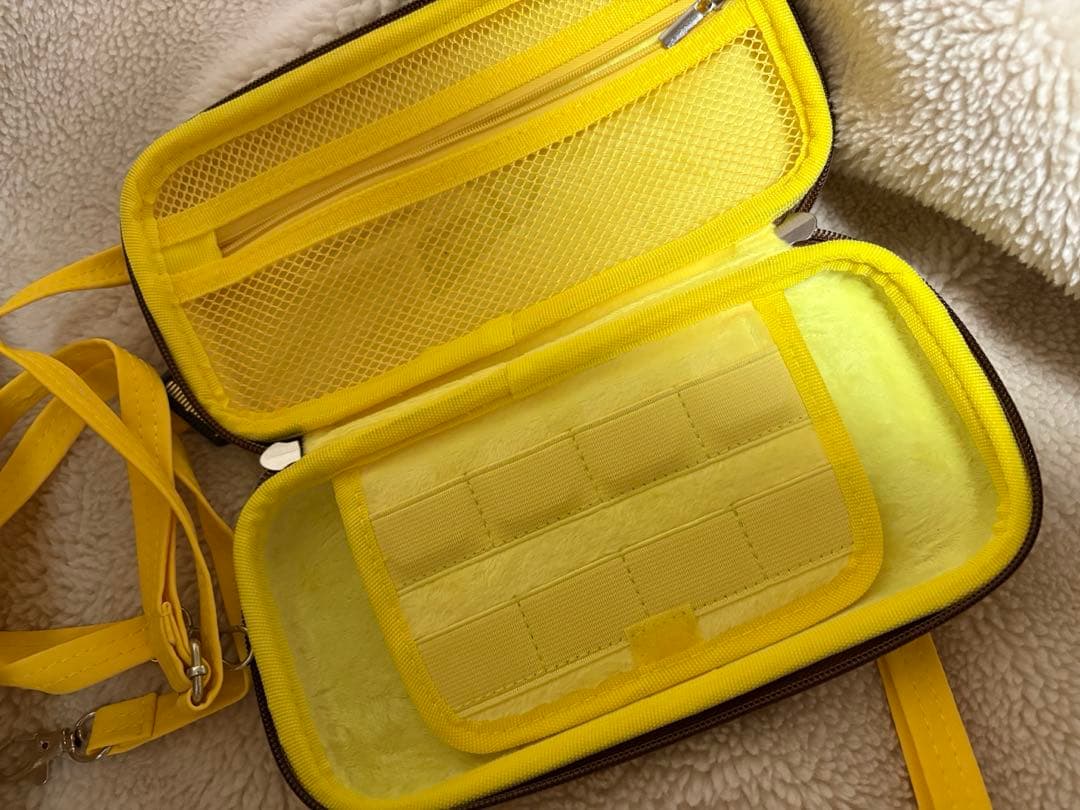 Switch ライト　セット