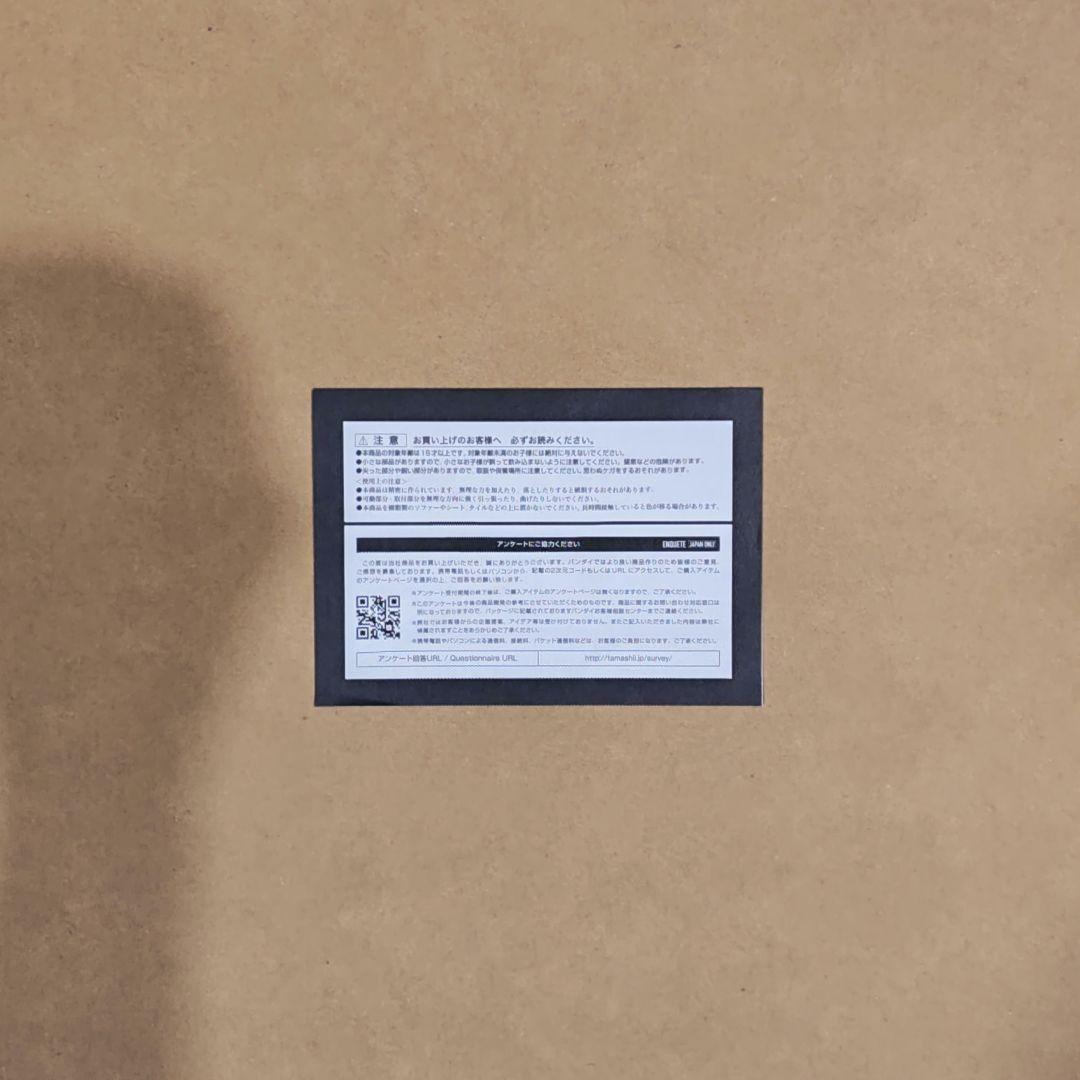 S.H.Figuarts 真骨彫製法 仮面ライダーアクセル 未使用