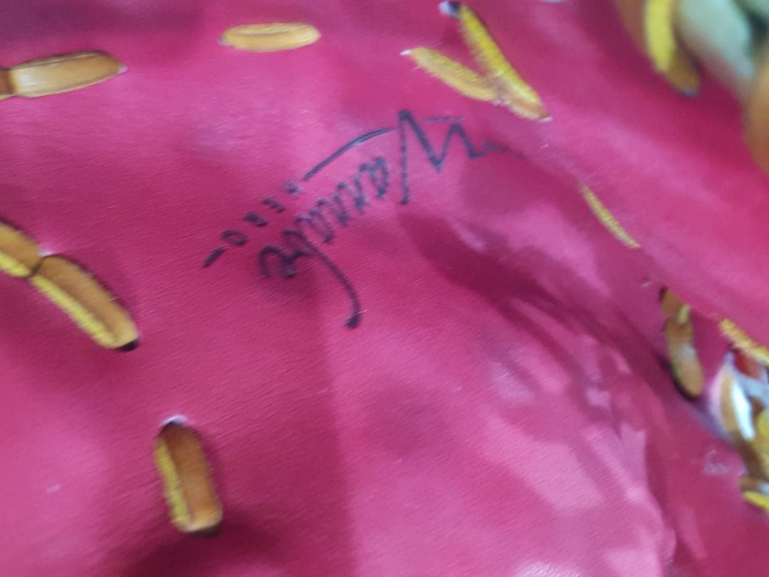 ウィルソン Wilson ワナビーヒーロー Wannabe Hero グローブ