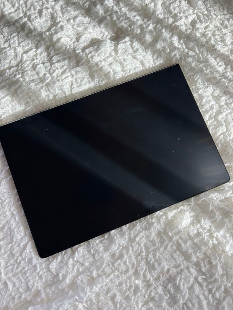 ナンベイオオタガメ110㎜（口吻先端－羽先計測） 昆虫標本 タガメ 標本