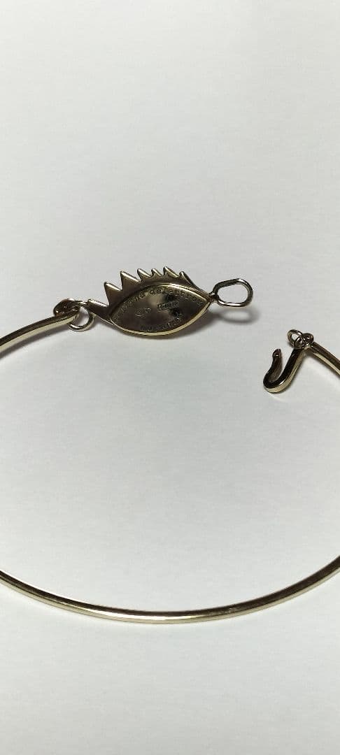 アクセサリー Delfina Delettrez