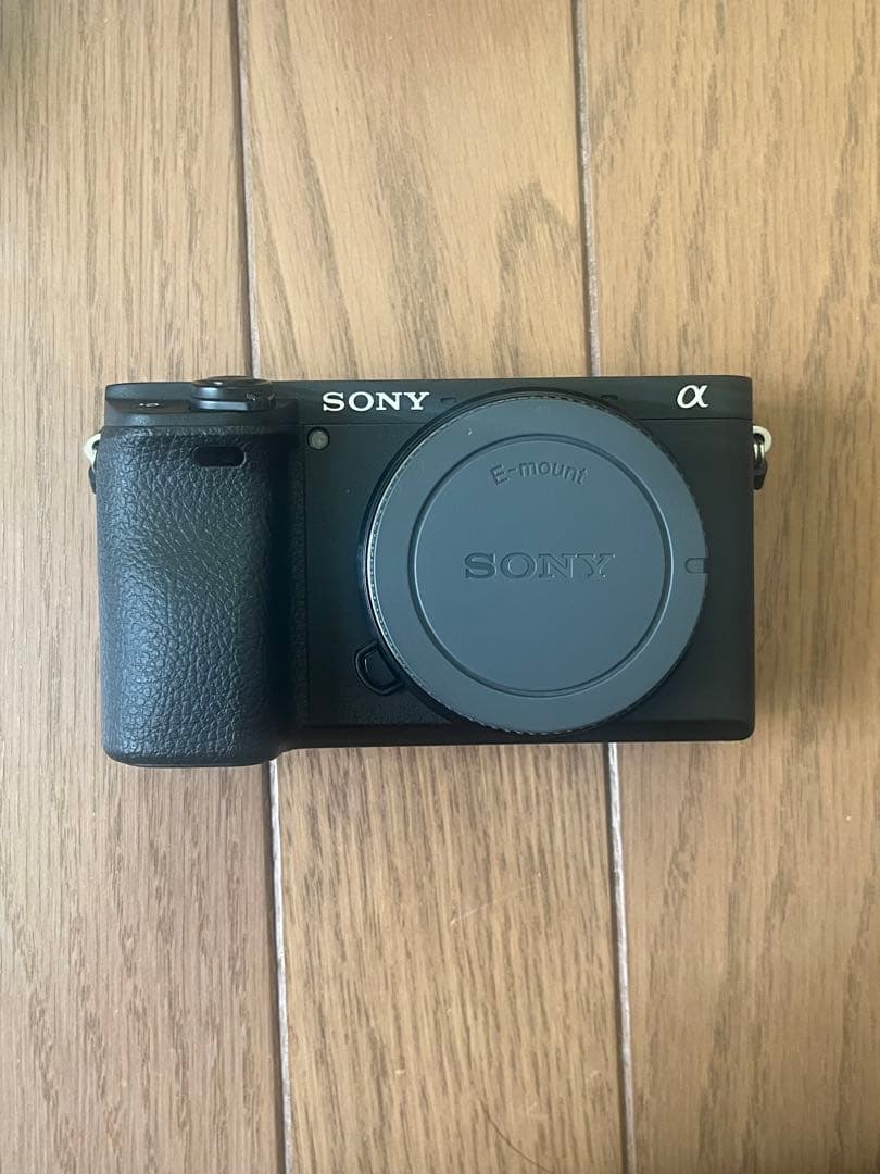 Sony α6400 高倍率ズーム ミラーレス一眼