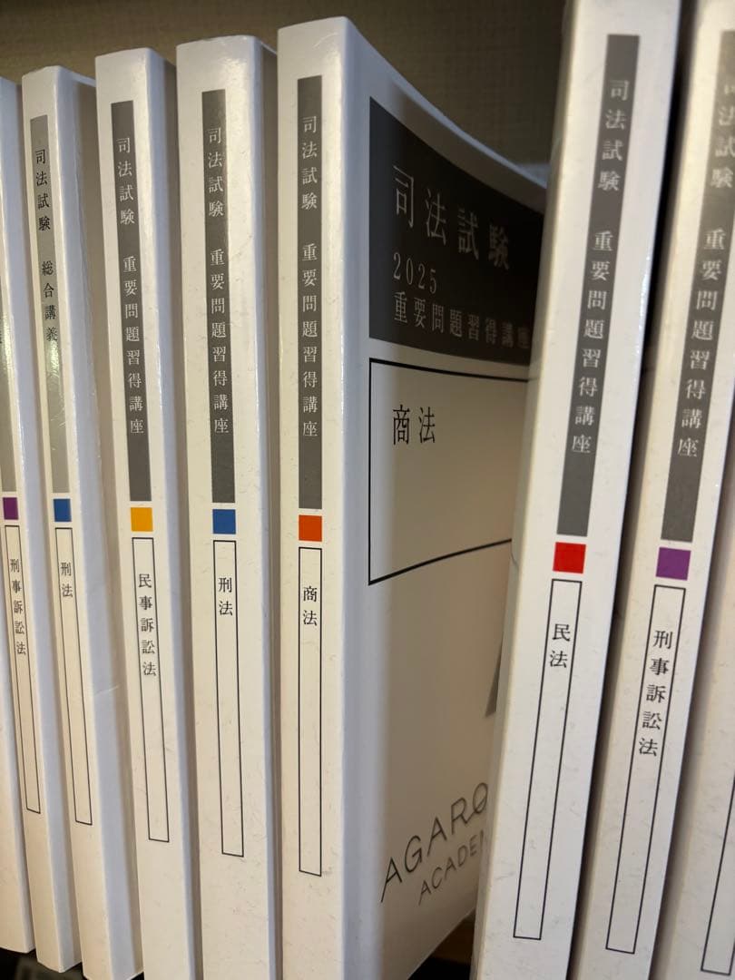【激安】2025アガルート総合講義・重問・論文の書き方・論証集セット 動画視聴可
