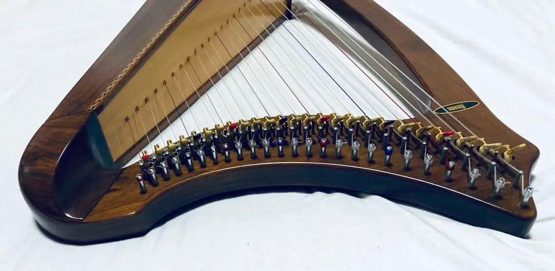AOYAMA 25S 青山ハープ 25弦 コンパクト ノンペダル 軽量 ケース付