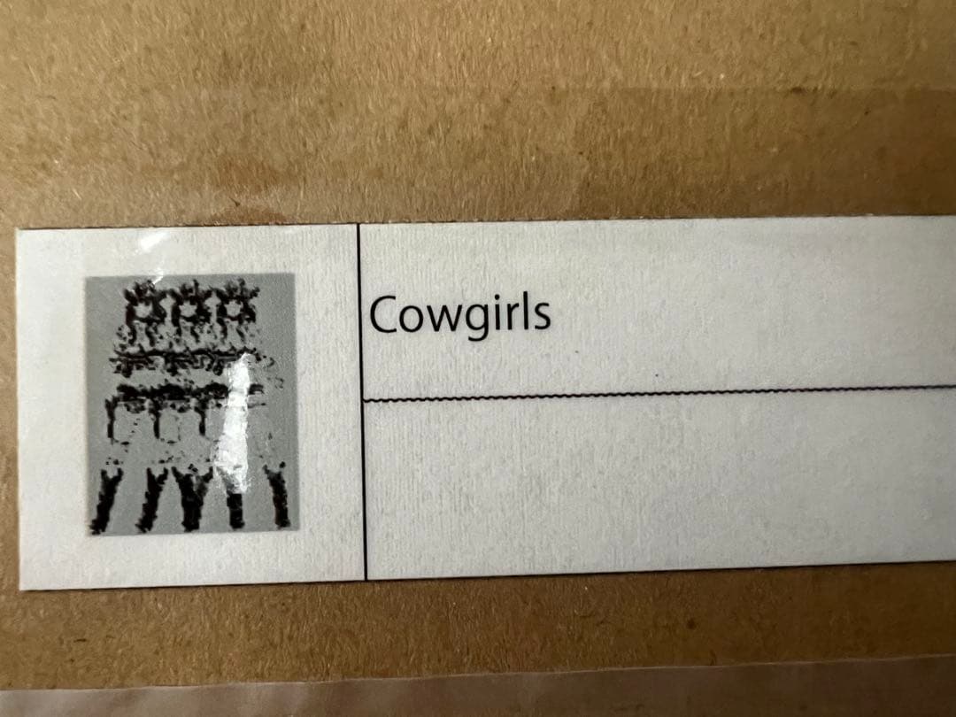 江口寿史 cowgirls シルクスクリーン