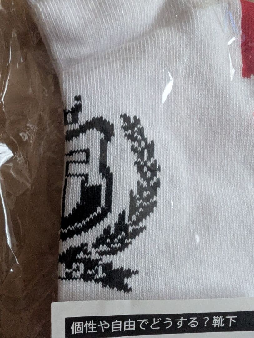 新しい学校のリーダーズ　公式ソックス2018　個性や自由でどうする？超レア