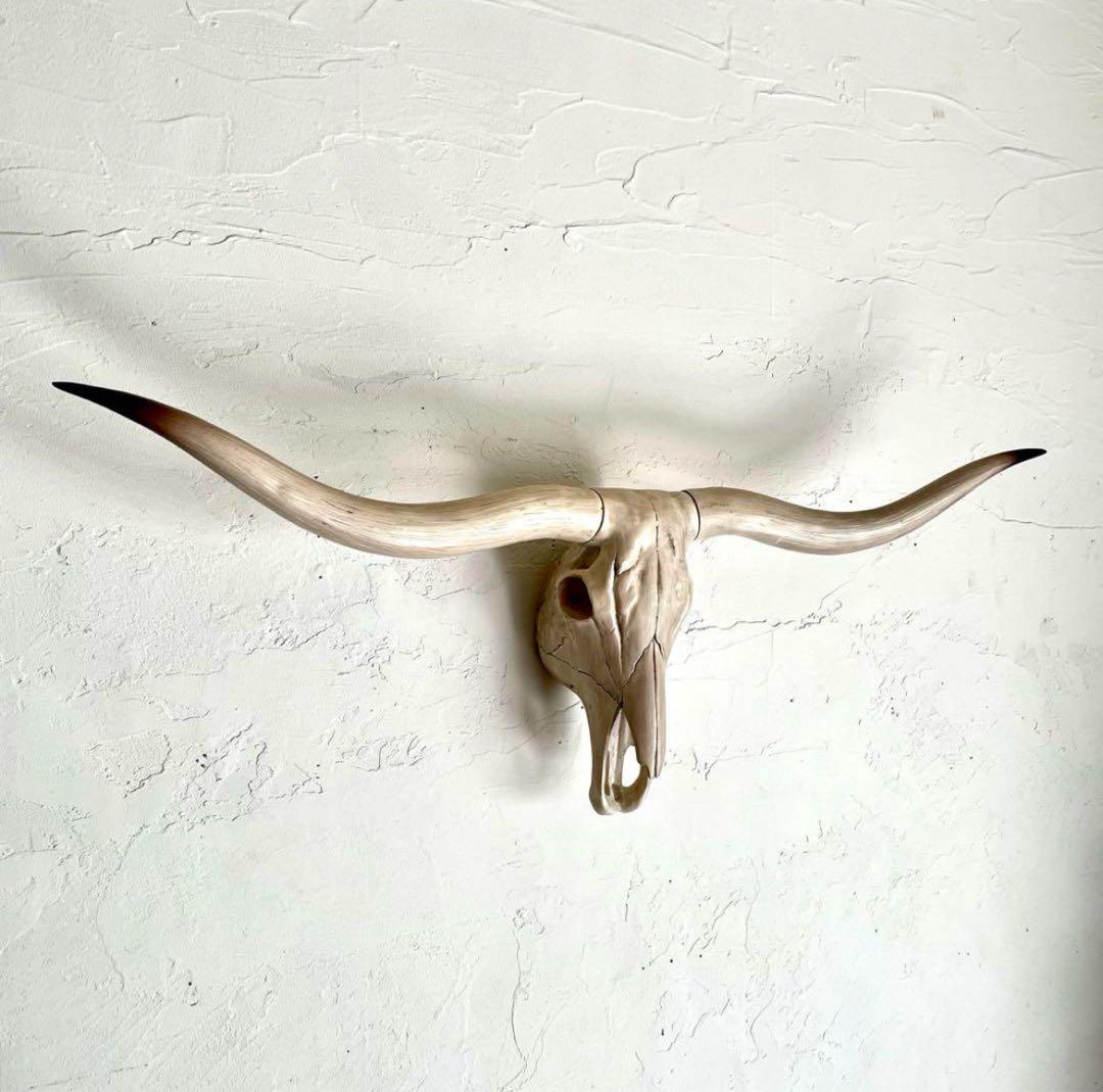 ◾️横幅74cm テキサスロングホーン バッファロースカル 壁掛け