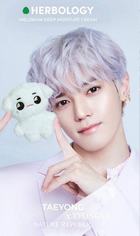 NCT 127 SuperM テヨン テョンヤ ぬいぐるみ - メルカリ