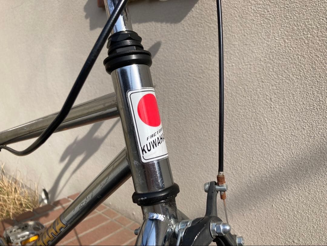 KUWAHARA SURVIVOR 26 引取限定　プラスおまけ