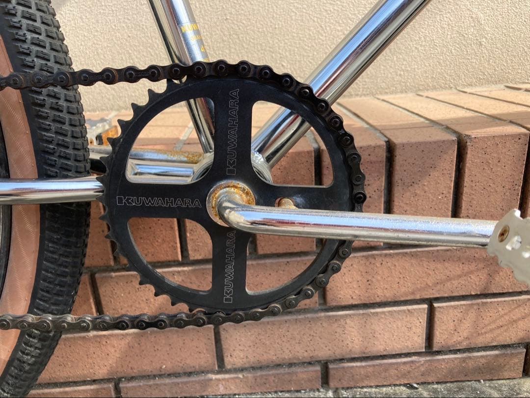 KUWAHARA SURVIVOR 26 引取限定　プラスおまけ