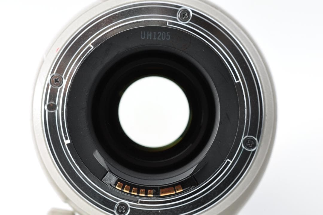 レンズ(ズーム) Canon EF 35-350mm F3.5-5.6 L USM #1305