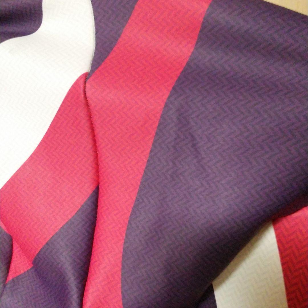 Goldwin 選手用スーツ XL フランス製FIS対応