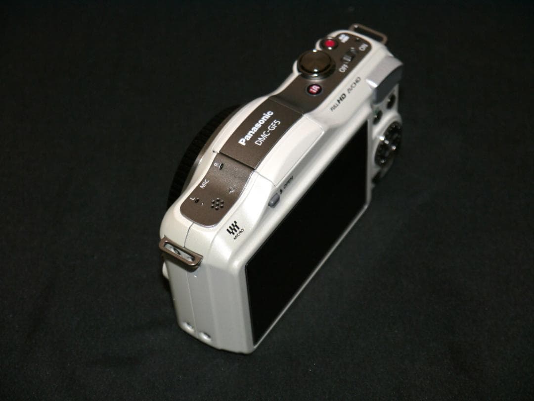 【美品・管理徹底】Panasonic LUMIX GF5 ボディ（SDカード付）