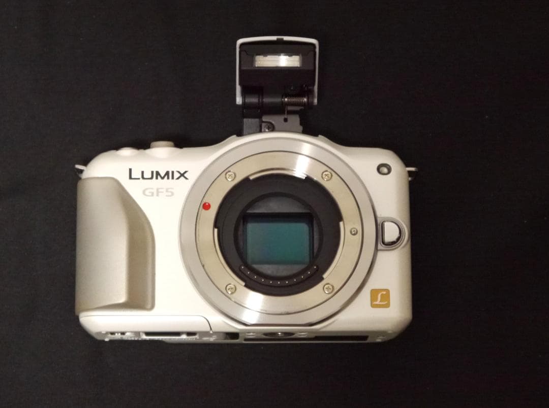 【美品・管理徹底】Panasonic LUMIX GF5 ボディ（SDカード付）