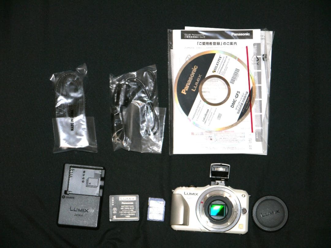 【美品・管理徹底】Panasonic LUMIX GF5 ボディ（SDカード付）