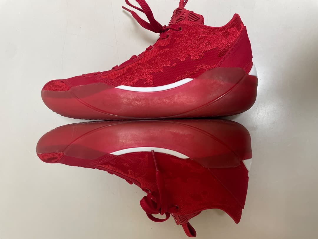 シューズ(男性用) Air Jordan 39 XXXIX PF/28.5cm/FQ0214-601