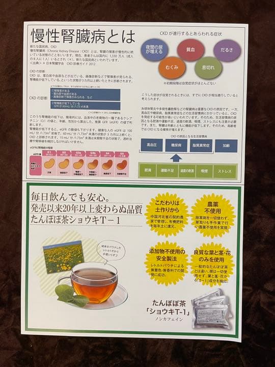 【正規品】タンポポ茶 たんぽぽ茶　ショウキT-1エキス 2箱　サポート付き