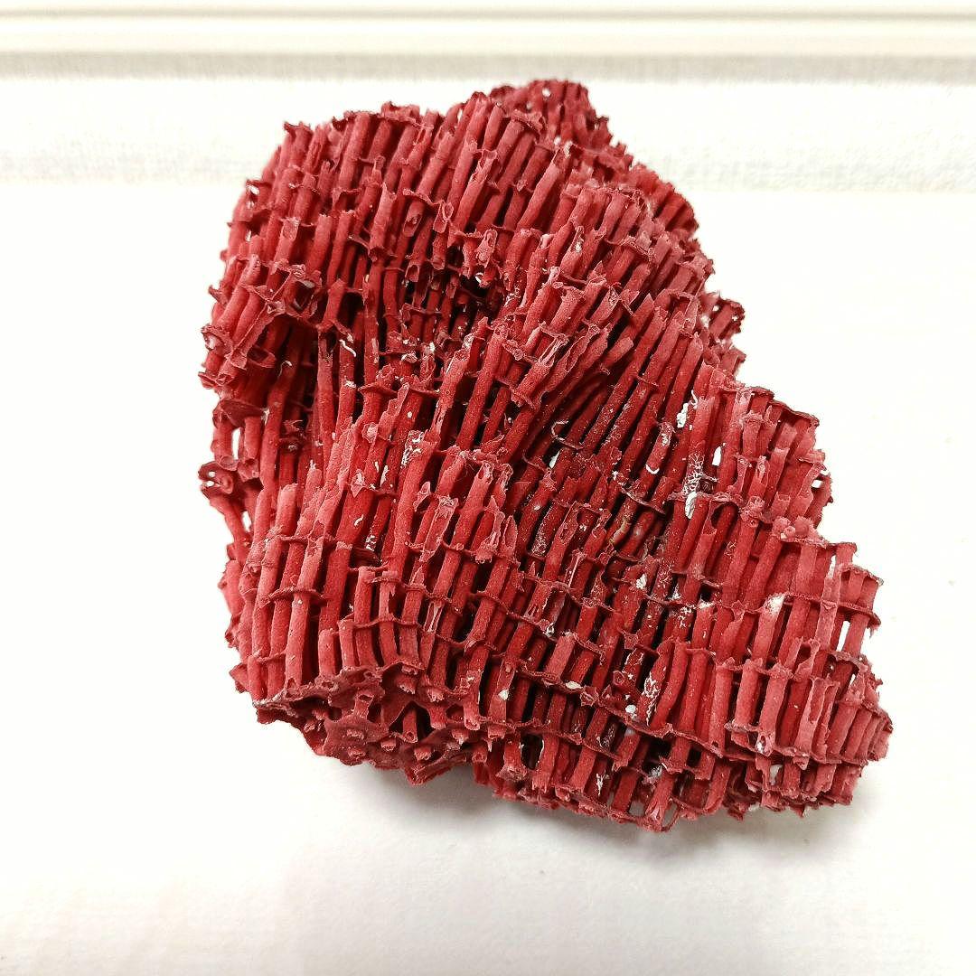 サンゴ 置物 珊瑚 サンゴ礁 パイプオルガン珊瑚 魚用品 オブジェ spl03
