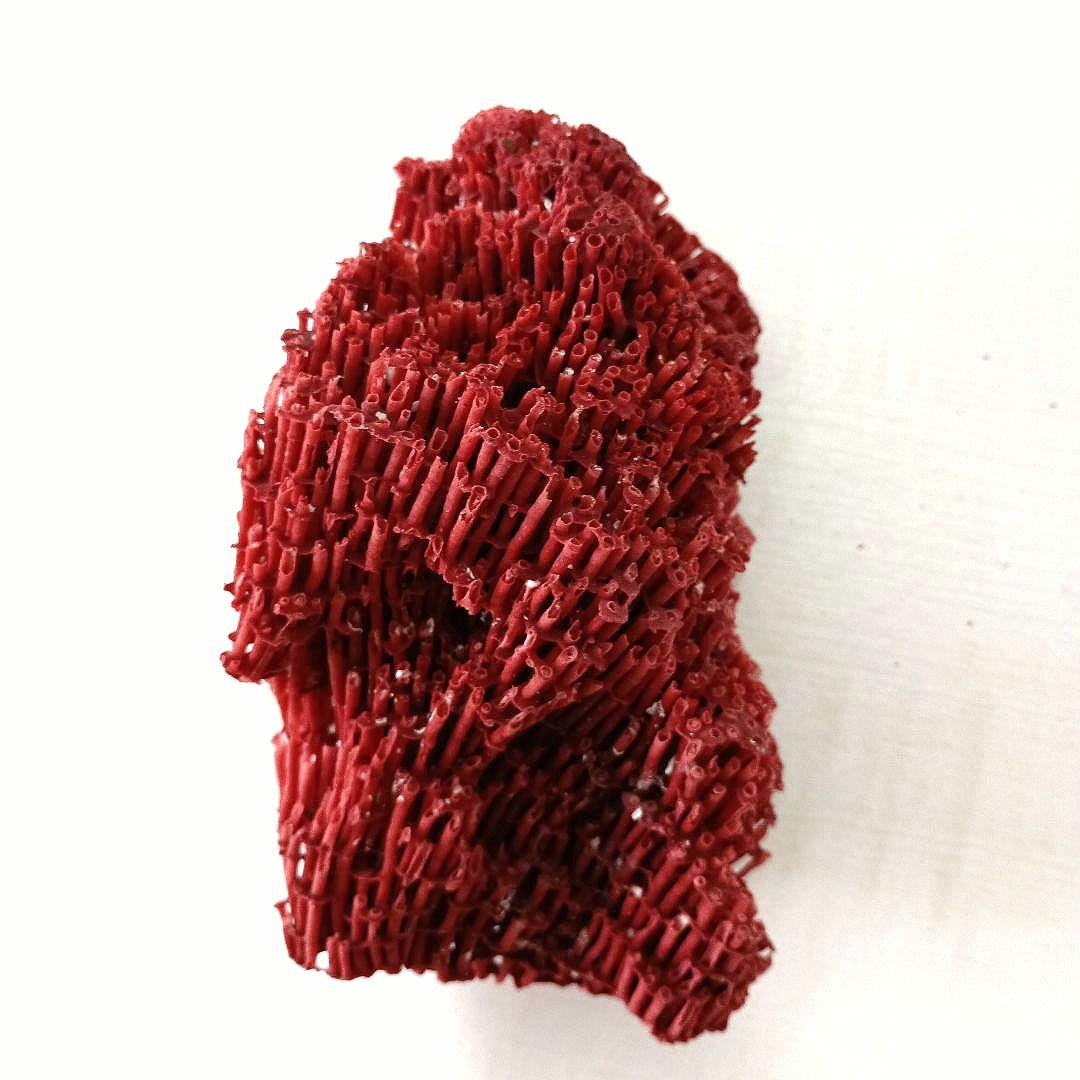 サンゴ 置物 珊瑚 サンゴ礁 パイプオルガン珊瑚 魚用品 オブジェ spl03