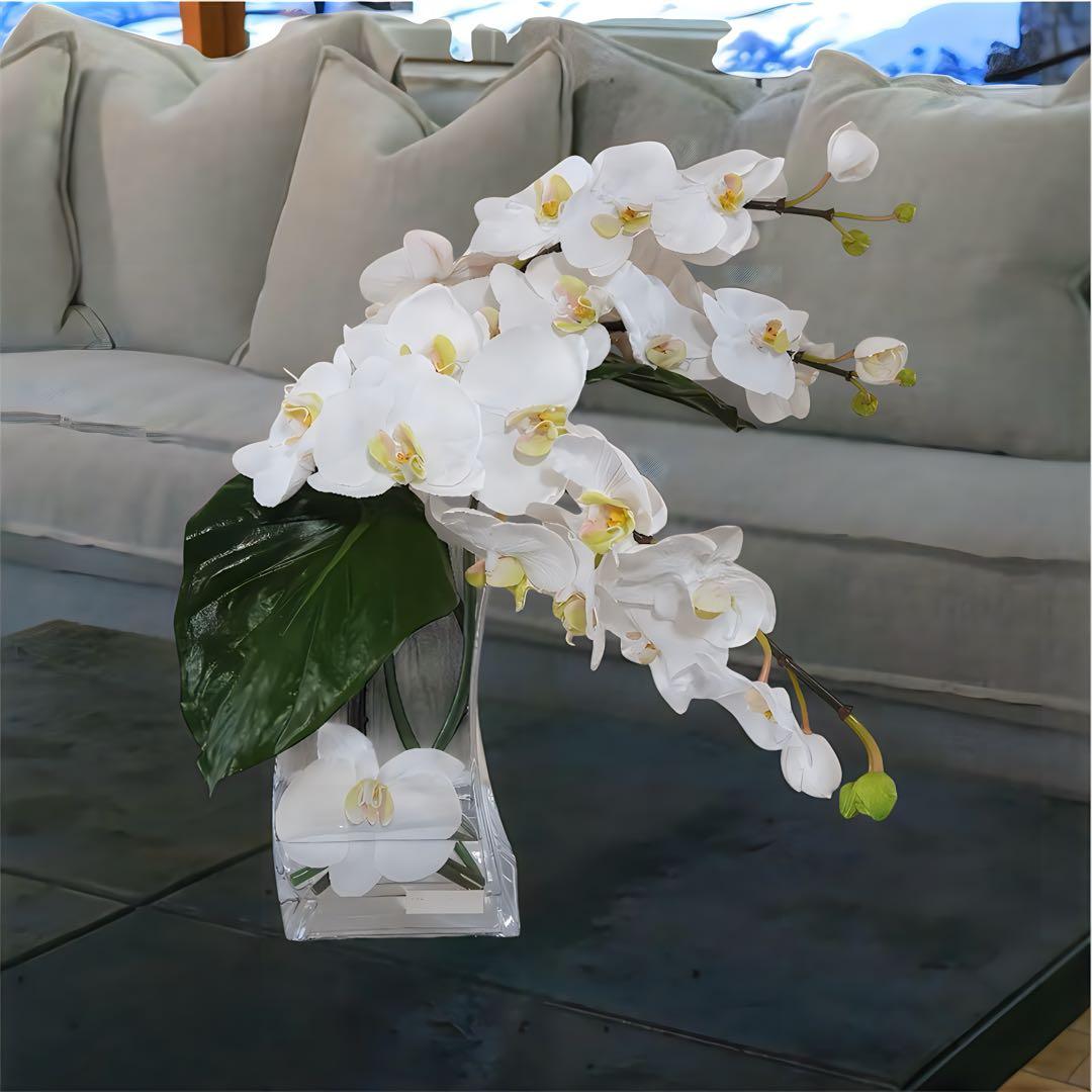 光触媒　観葉植物　フェイクグリーン　エミリオロバ　ファレノプシス4L 胡蝶蘭