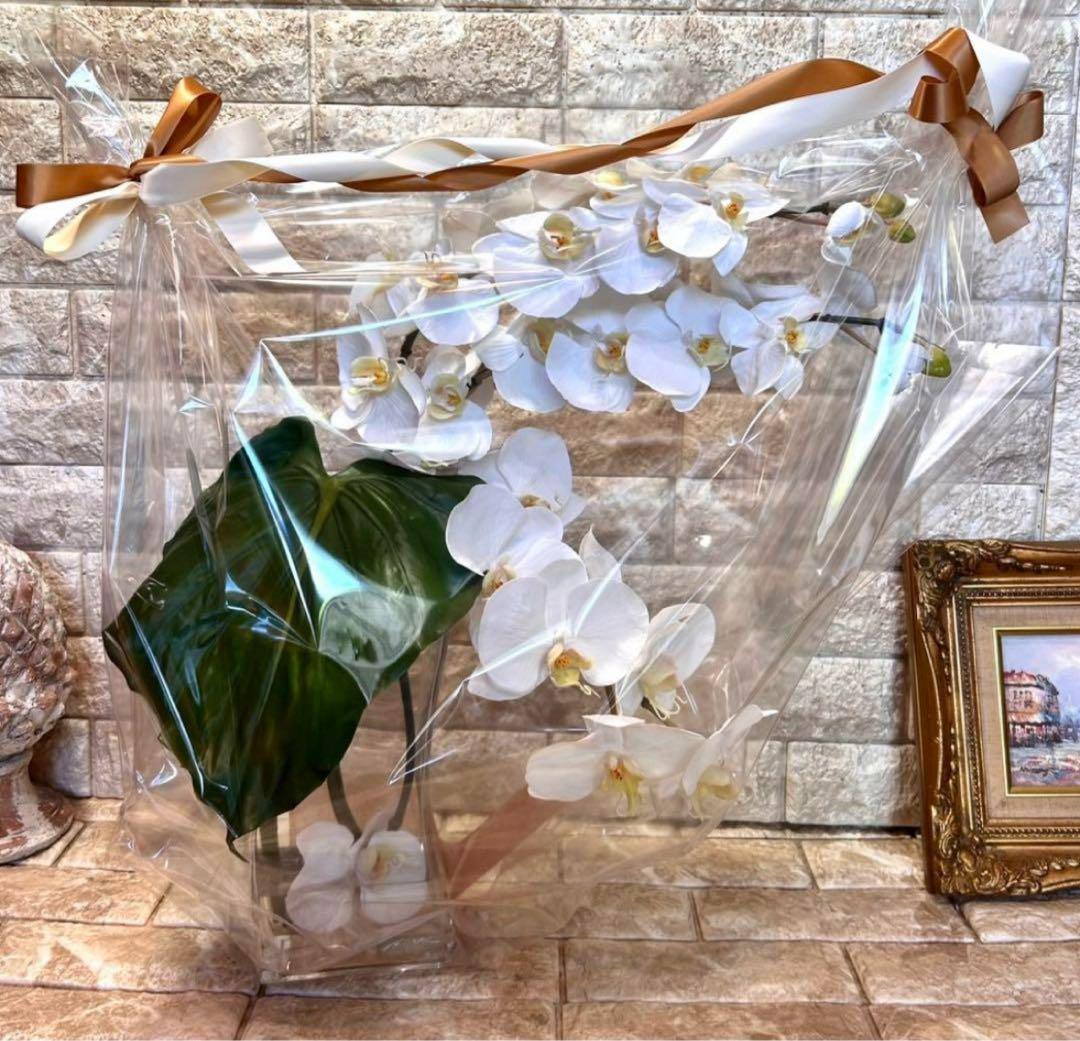 光触媒　観葉植物　フェイクグリーン　エミリオロバ　ファレノプシス4L 胡蝶蘭