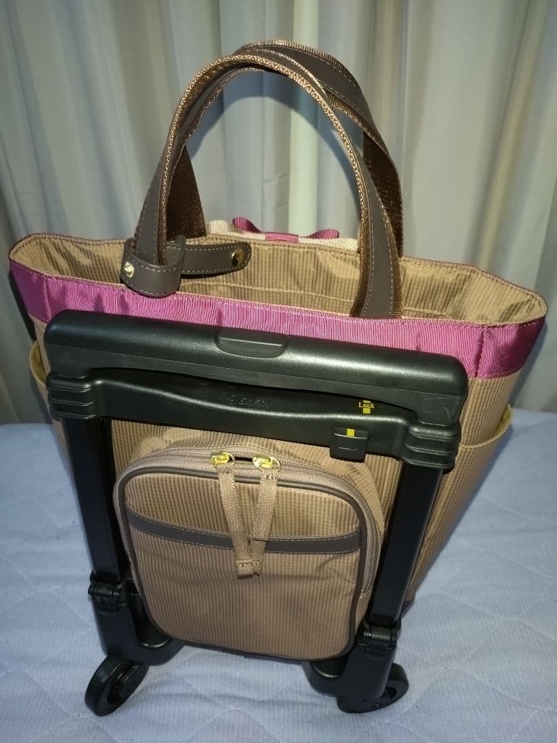 【未使用】SWANY 支えるキャリーバッグ グレージュ