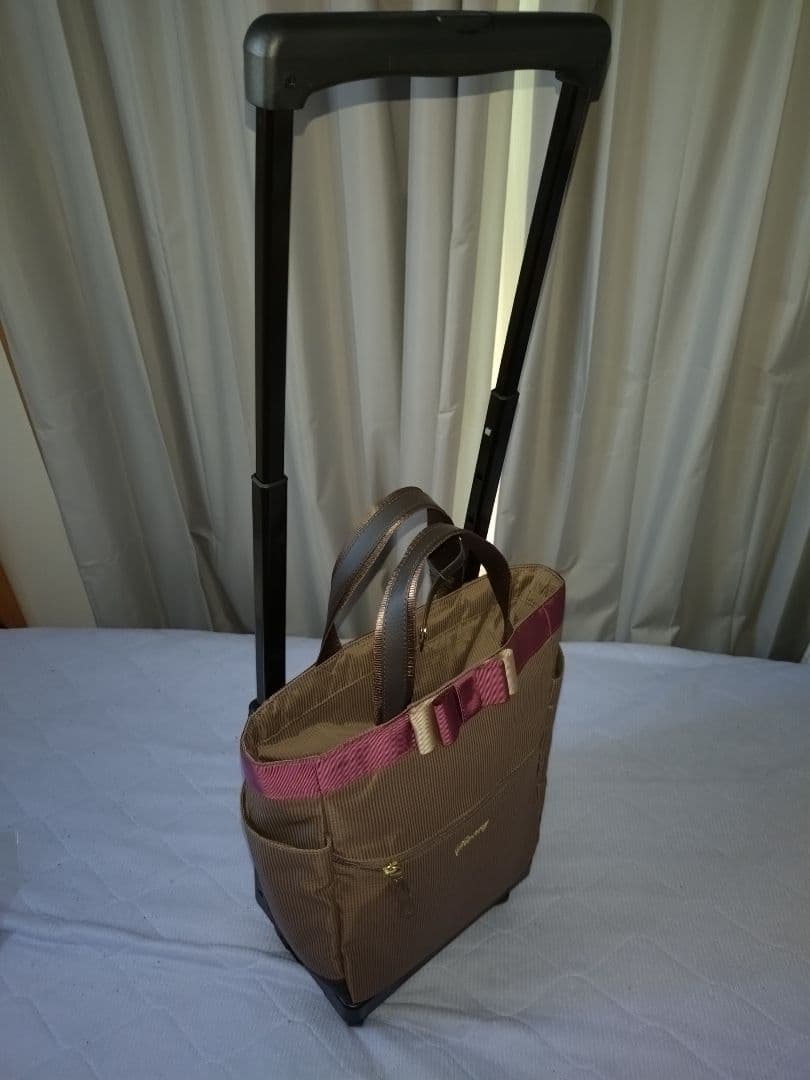 【未使用】SWANY 支えるキャリーバッグ グレージュ