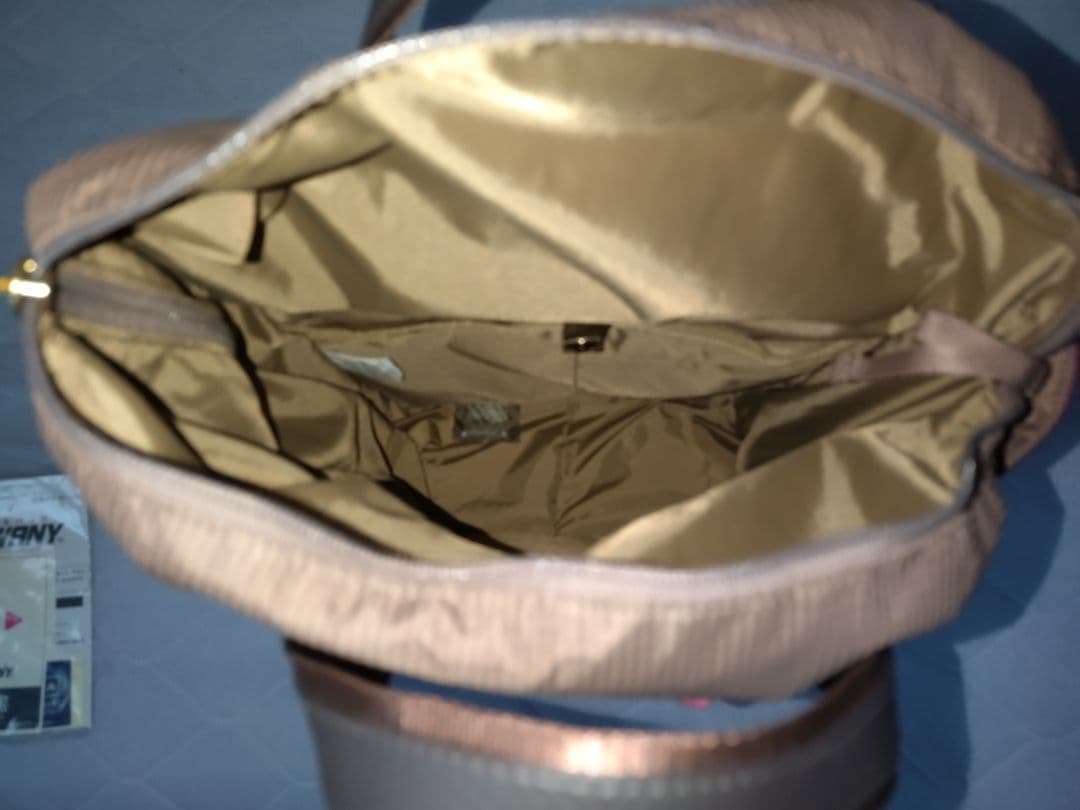 【未使用】SWANY 支えるキャリーバッグ グレージュ