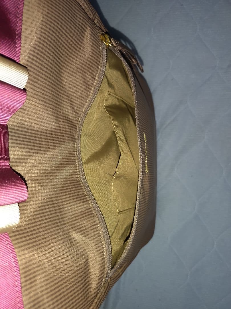 【未使用】SWANY 支えるキャリーバッグ グレージュ