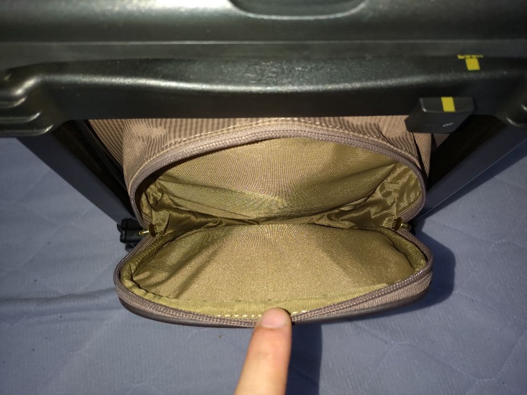 【未使用】SWANY 支えるキャリーバッグ グレージュ